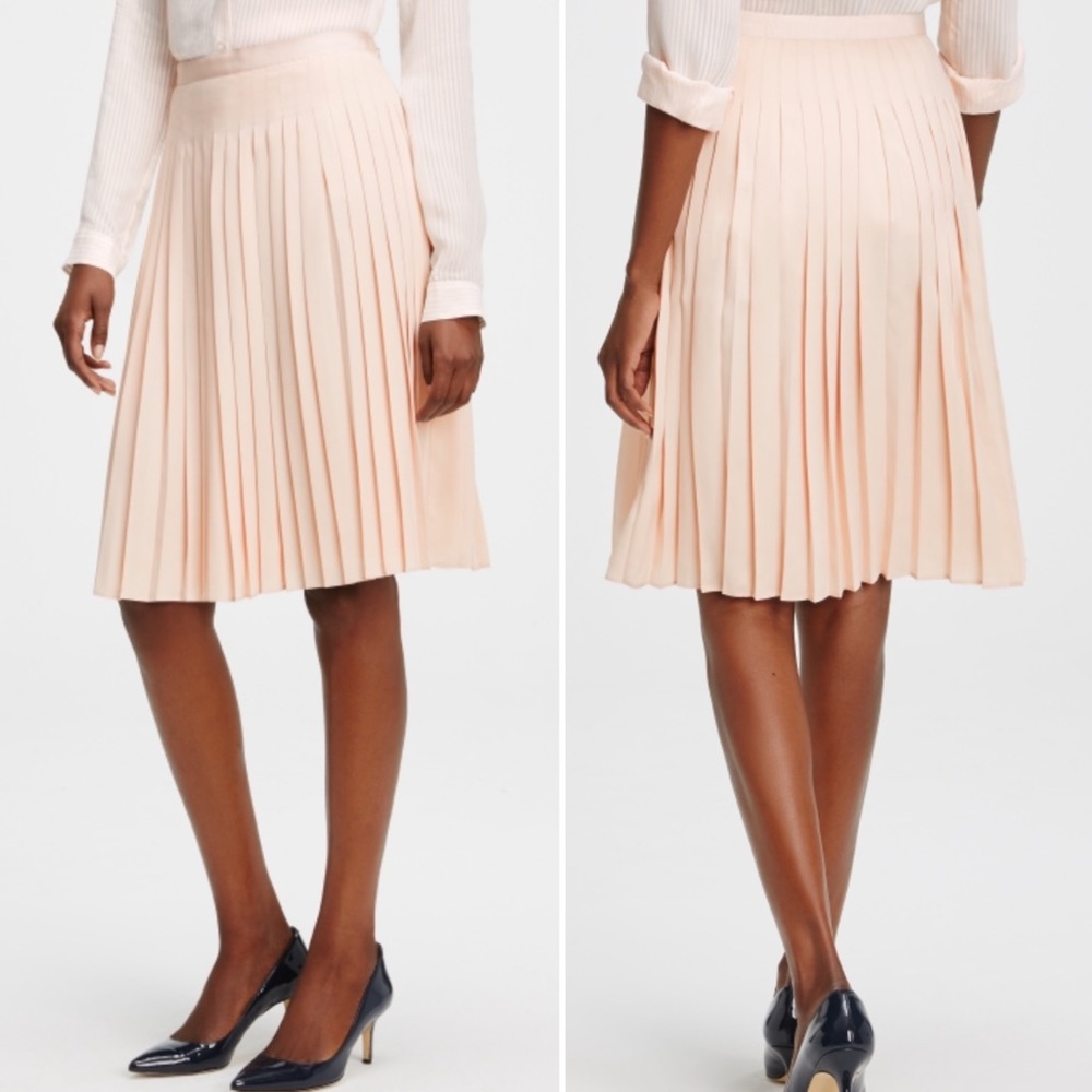 COPY - Ann Taylor Pale Pink Chiffon Skirt (12)
